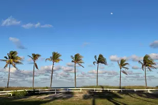4629 Poinciana St, Lauderdale by the Sea, FL 33308 - Photo 46