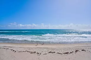 5200 N Ocean Dr, Singer Island, FL 33404 - Photo 24
