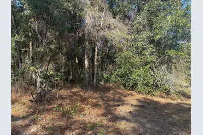7178 W Wildfire Lane, Homosassa, FL 34448 - Photo 2