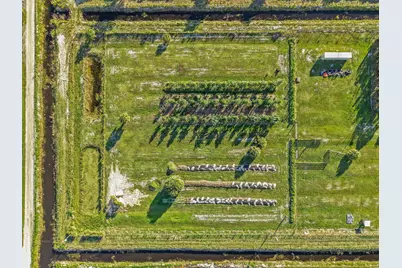 20915 Antoinette Street, Loxahatchee, FL 33470 - Photo 6