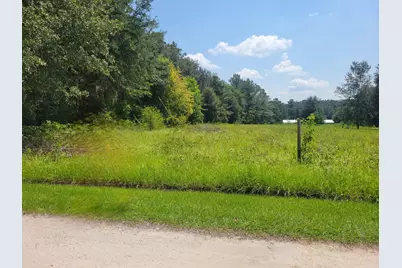 00 SW 67th Street, Lake Butler, FL 32054 - Photo 2