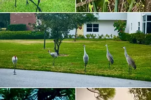 1225 NW 21st St, Stuart, FL 34994 - Photo 30