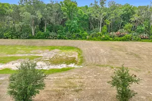 20029 Royal Tern Ct, Leesburg, FL 34748 - Photo 54