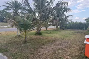 1410 NE 14th Terrace, Cape Coral, FL 33909 - Photo 2