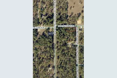Tbd NW Redwood Drive, Dunnellon, FL 34431 - Photo 2
