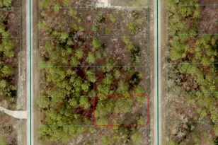 Tbd SW Buena Vista Rd, Dunnellon, FL 34431 - Photo 1