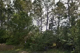 Lot 12 Silverleaf Rd, North Port, FL 34288 - Photo 1