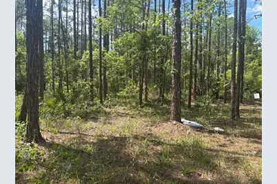 0 Dahlia Rd Road, Deland, FL 32724 - Photo 2