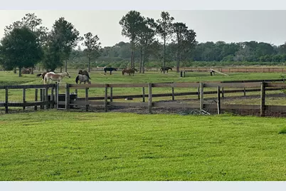 3020 N Bowden Road, Avon Park, FL  - Photo 8