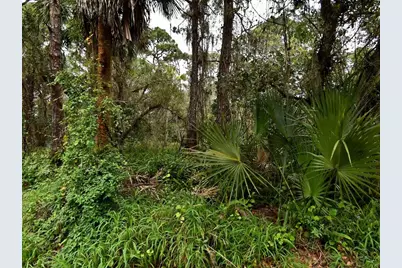 Tbd Oak Hammock Lane, Fort Pierce, FL 34981 - Photo 2