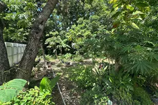 1631 NE 157th Ter, North Miami Beach, FL 33162 - Photo 38