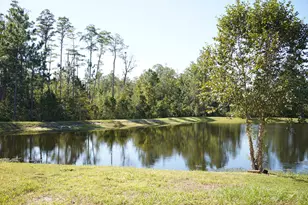 855 Sycamore Wy, Orange Park, FL 32073 - Photo 12