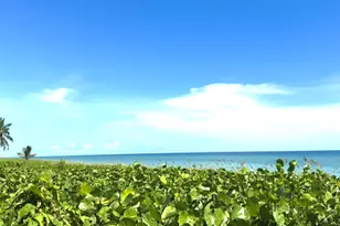 50 Celestial Way, Juno Beach, FL 33408 - Photo 20