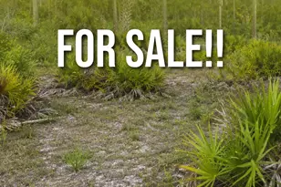 3199 Lich St, Port Charlotte, FL 33980 - Photo 1