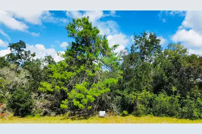 Tbd SW 37th Circle, Ocala, FL 34473 - Photo 2