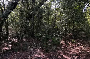 0 Co Rd 54, Kathleen, FL 33849 - Photo 1