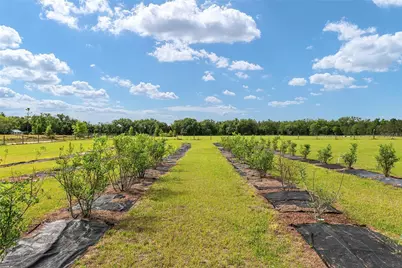 3725 172nd Street, Wellborn, FL 32094 - Photo 94