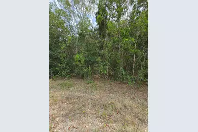 42 Nd Road N, Loxahatchee Groves, FL 33470 - Photo 8
