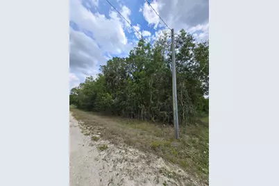 42 Nd Road N, Loxahatchee Groves, FL 33470 - Photo 6