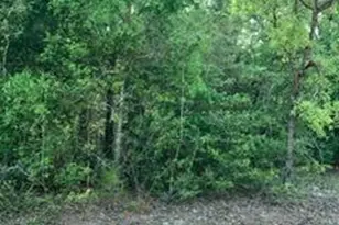 0 Gardenia Dr, Marianna, FL 32448 - Photo 1