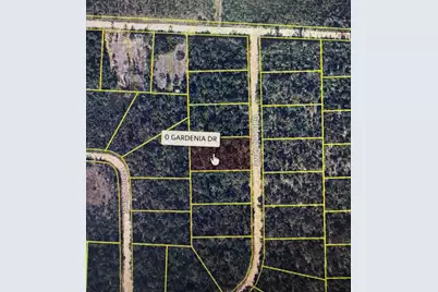 0 Gardenia Drive, Marianna, FL 32448 - Photo 6