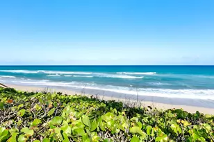 3230 S Ocean Blvd, Palm Beach, FL 33480 - Photo 30