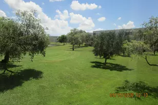 10217 NW 24th Pl, Sunrise, FL 33322 - Photo 6