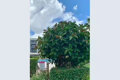 6400 NW 2nd Avenue #417, Boca Raton, FL 33487 - Photo 60