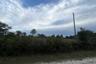 15840 NW 298th St, Okeechobee, FL 34972 - Photo 1