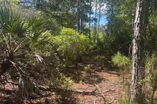 0 Golden Shores Blvd, Mims, FL 32754 - Photo 1