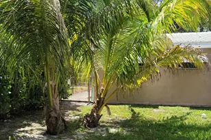 6781 Charleston St, Hollywood, FL 33024 - Photo 16