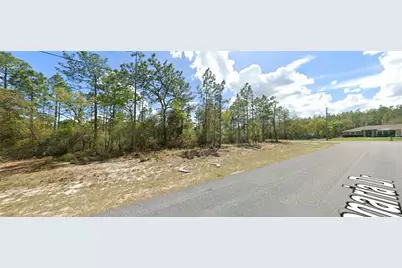 9029 N Saponaria Drive, Citrus Springs, FL 34433 - Photo 2