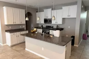 10605 Avian Forrest Dr, Riverview, FL 33578 - Photo 4