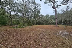 12890 NW 90 Ave, Chiefland, FL 32626 - Photo 4