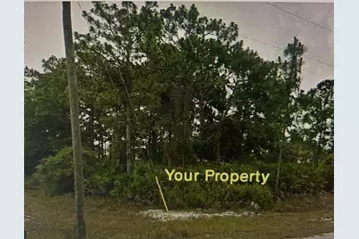 1170 Kingfisher Avenue NW, Lake Placid, FL 33852 - Photo 6