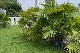 6264 Lansdowne Cir, Boynton Beach, FL 33472 - Photo 26