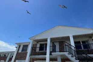 190 E Olmstead Dr, Titusville, FL 32780 - Photo 18
