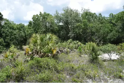 17119 NW 276th Street, Okeechobee, FL 34972 - Photo 2