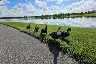 19772 Whispering Crk Rd, Loxahatchee, FL 33470 - Photo 34