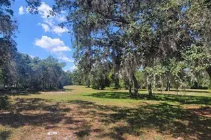 1155 NE 342nd Trail, Okeechobee, FL 34972 - Photo 14