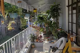1927 Funston St, Hollywood, FL 33020 - Photo 8
