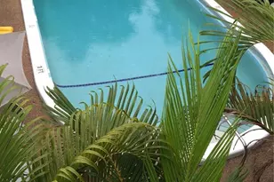 2016 NE 17th Ct, Fort Lauderdale, FL 33305 - Photo 2