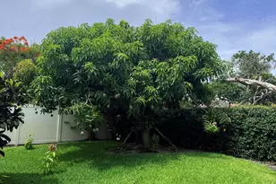 3509 NW 26th Ct, Boca Raton, FL 33434 - Photo 34