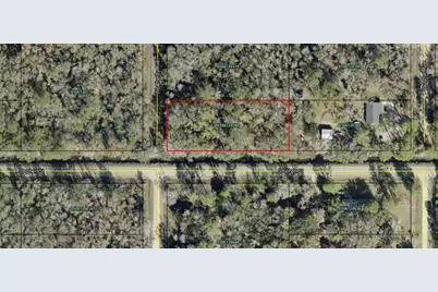 5020 Stephen Street, Hastings, FL 32145 - Photo 2