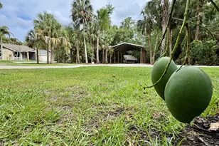 16789 N 98th Way Way N, Jupiter, FL 33478 - Photo 20