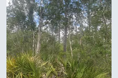 0 Water Road, Clermont, FL 33868 - Photo 4