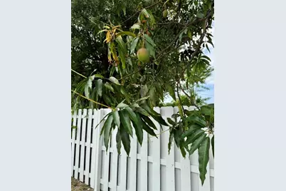715 2nd Avenue S #3, Lake Worth Beach, FL 33460 - Photo 10