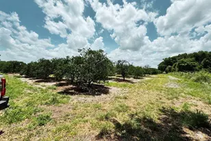 115 Heinley Rd, Lake Placid, FL 33852 - Photo 14