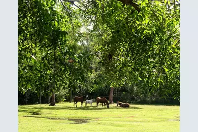 15531 42nd Road N, Loxahatchee Groves, FL 33470 - Photo 32