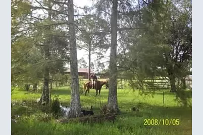 15531 42nd Road N, Loxahatchee Groves, FL 33470 - Photo 30